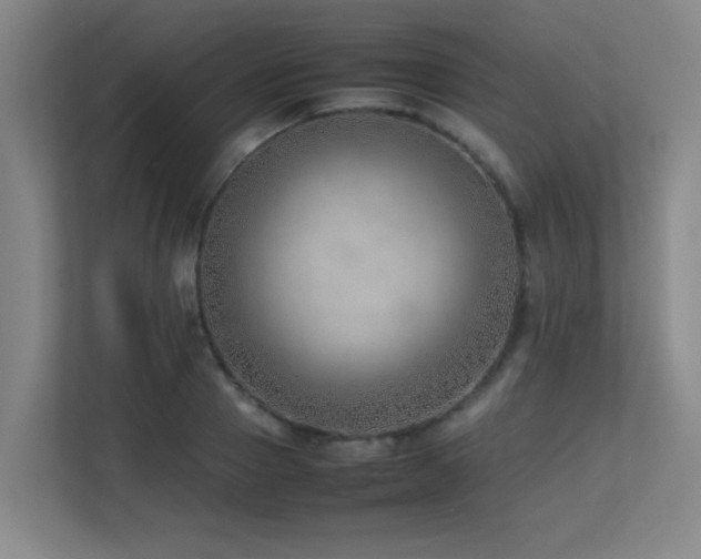 X0000113210937200909101129