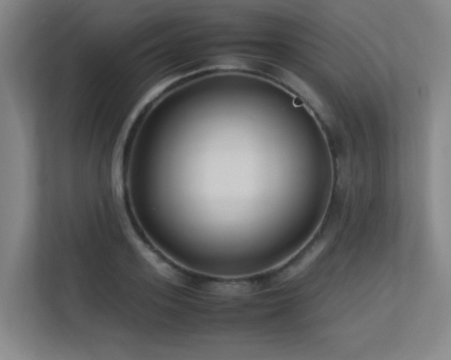 X0000113210939200909101129