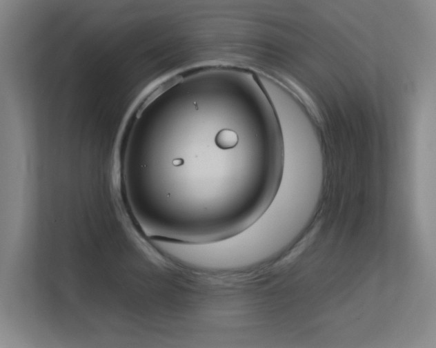 X0000113210940200909101129