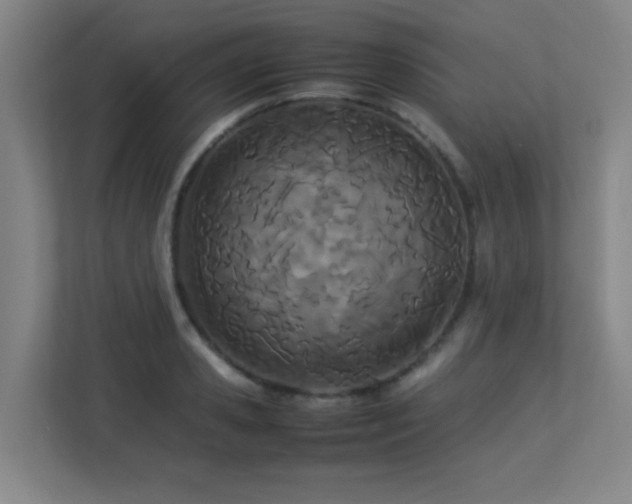 X0000113210941200909101129