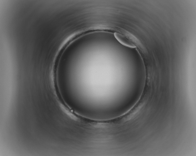 X0000113210942200909101129