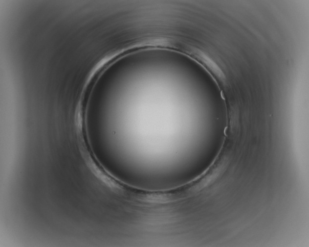 X0000113210944200909101129