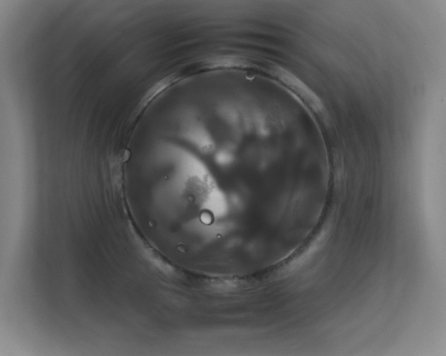 X0000113210945200909101129