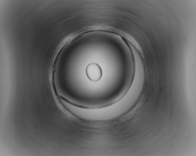 X0000113210946200909101129