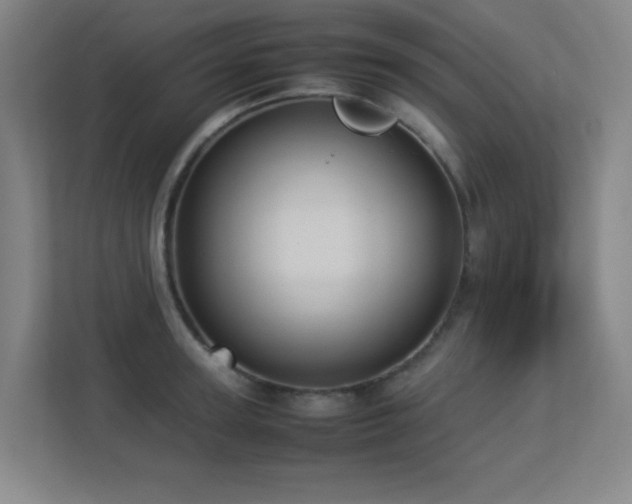 X0000113210947200909101129