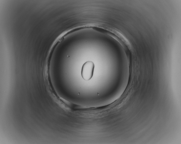 X0000113210948200909101129