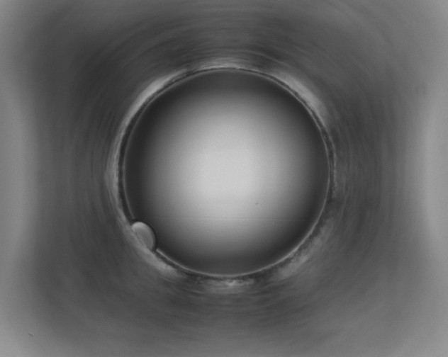 X0000113210949200909101129