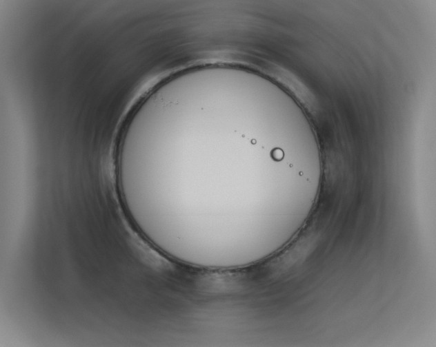 X0000113210950200909101129