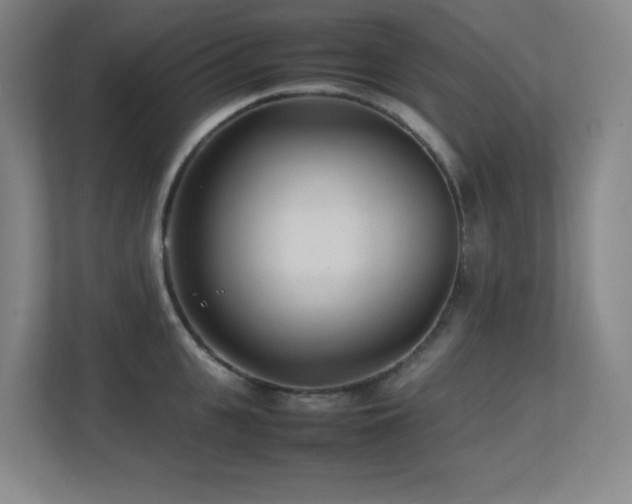 X0000113210951200909101129