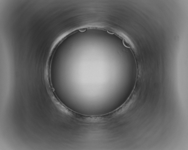 X0000113210952200909101129