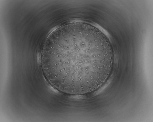 X0000113210953200909101129