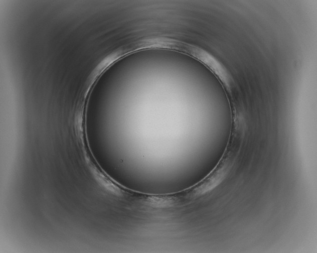 X0000113210954200909101129