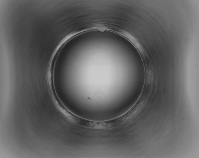 X0000113210955200909101129