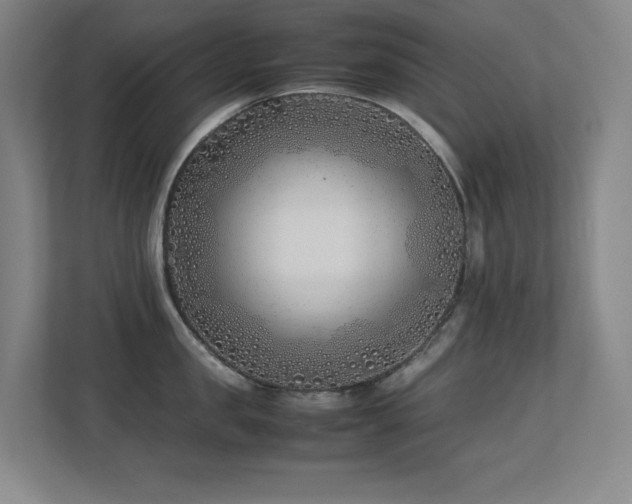 X0000113210957200909101129