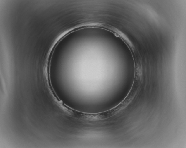 X0000113210959200909101129