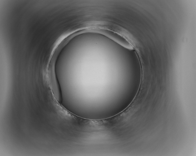 X0000113210960200909101129