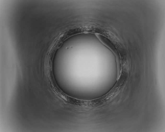X0000113210961200909101129
