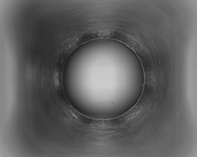 X0000113210962200909101129