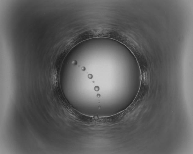 X0000113210963200909101129