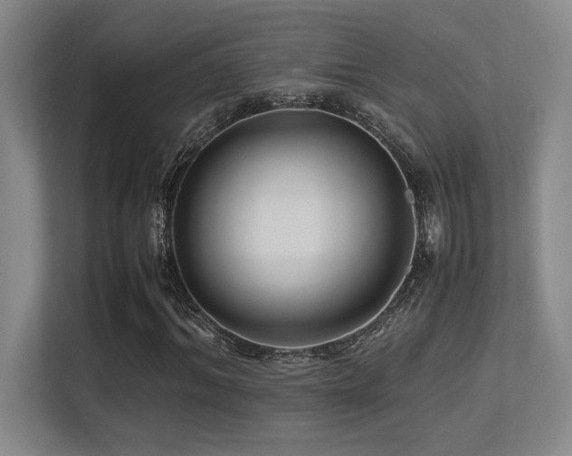 X0000113210964200909101129