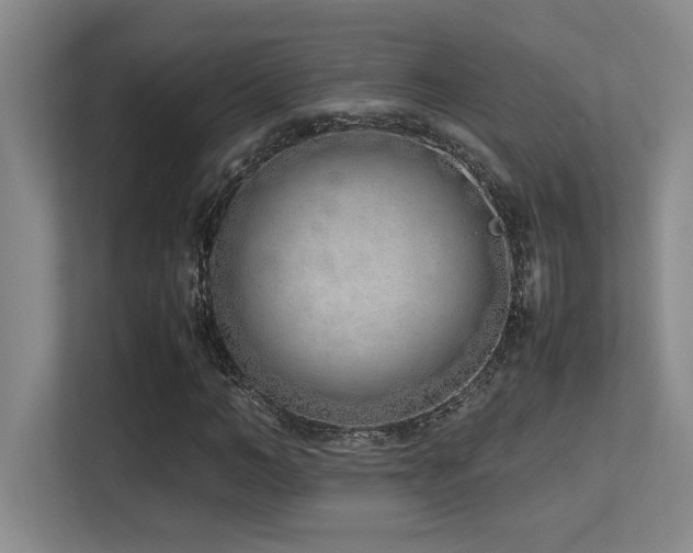 X0000113210966200909101129