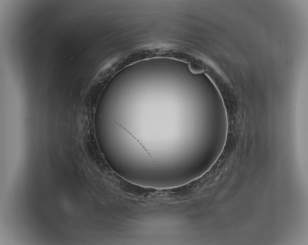 X0000113210967200909101129