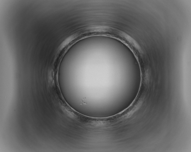 X0000113210970200909101128
