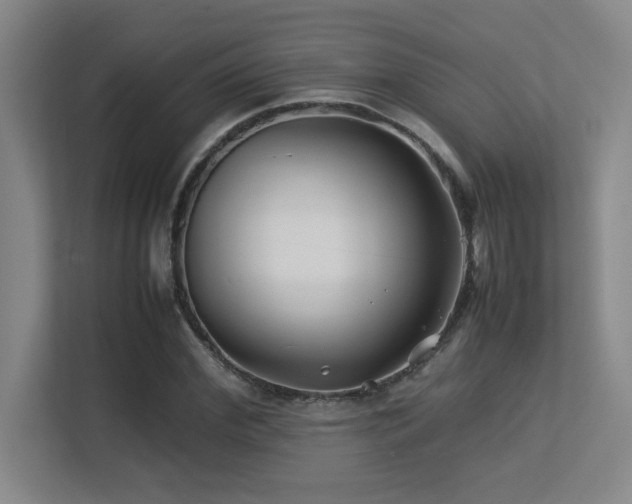 X0000113210972200909101128