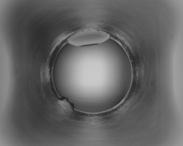 X0000113210973200909101128