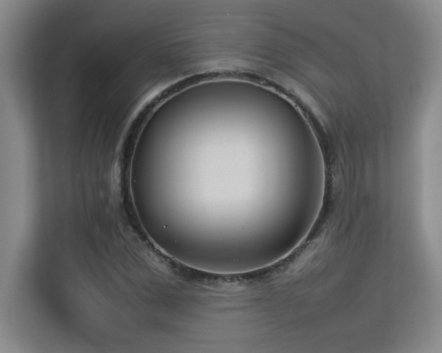 X0000113210975200909101128