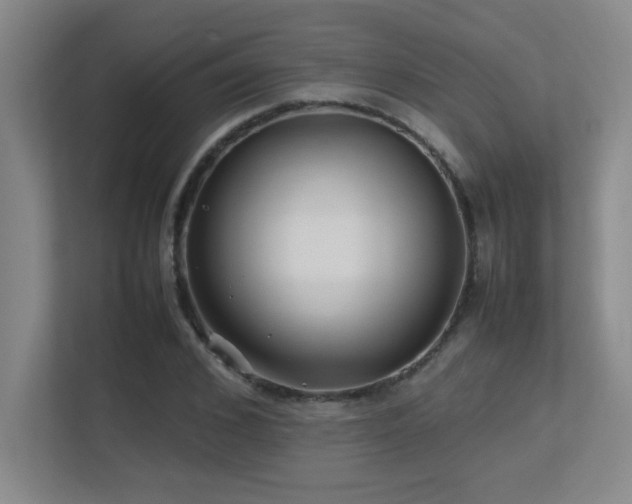 X0000113210976200909101128