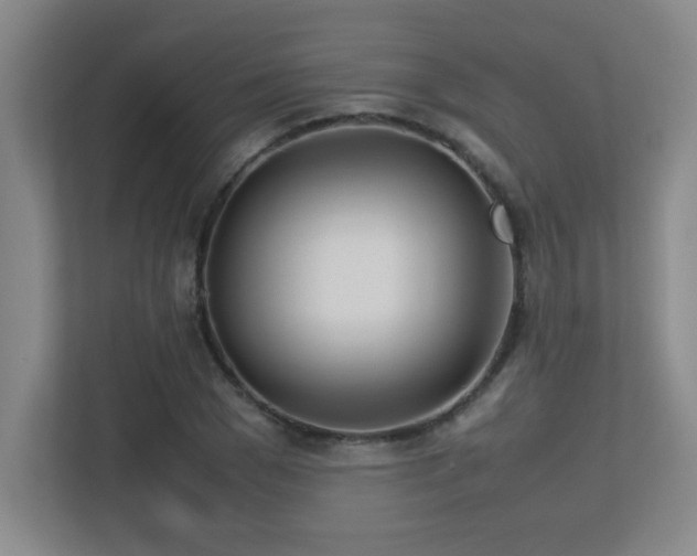 X0000113210977200909101128