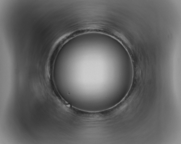 X0000113210979200909101128