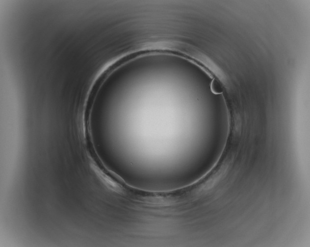 X0000113210980200909101128