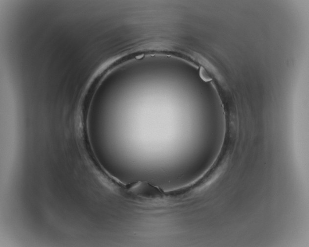 X0000113210981200909101128