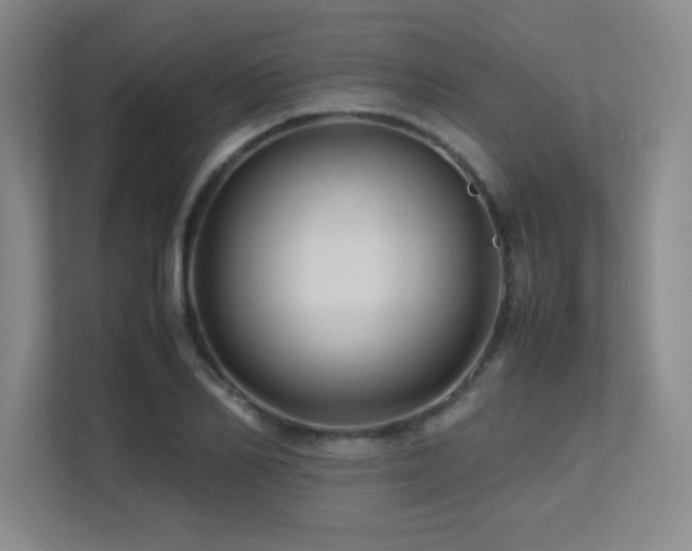 X0000113210982200909101128