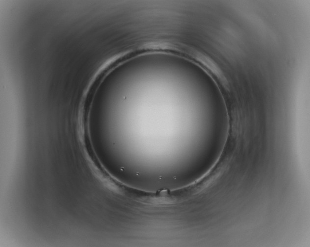X0000113210984200909101128
