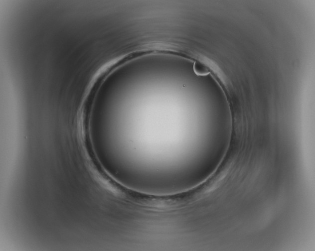 X0000113210987200909101128