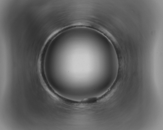 X0000113210991200909101128