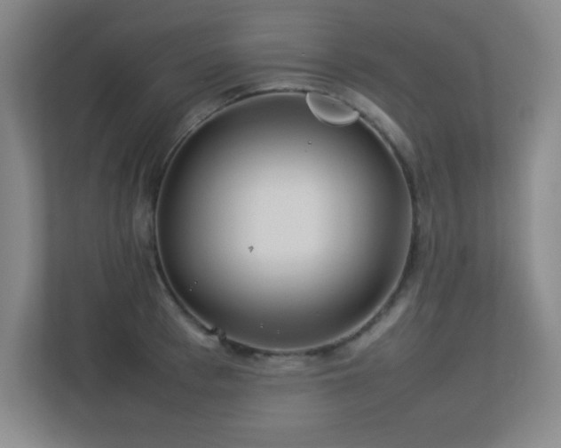 X0000113210993200909101128