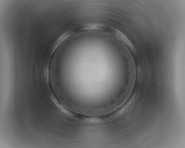 X0000113210994200909101128