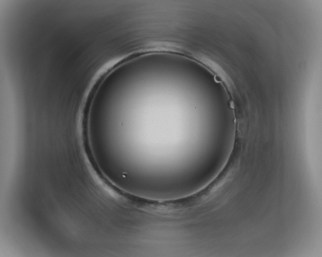 X0000113210995200909101128