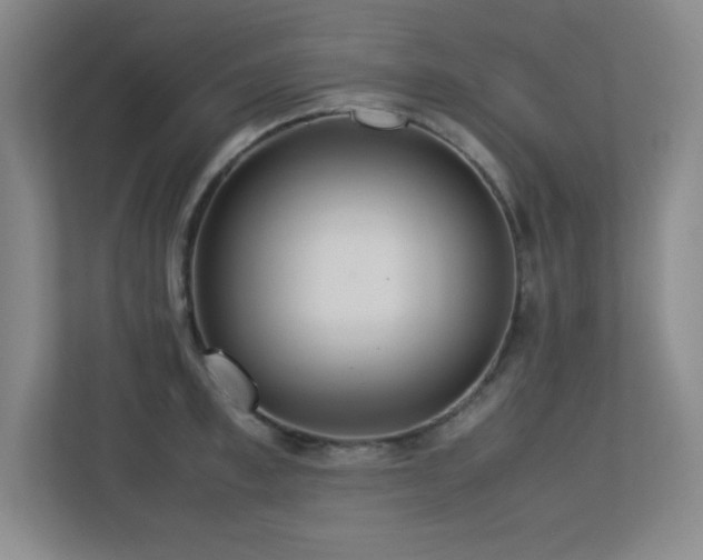 X0000113210997200909101128