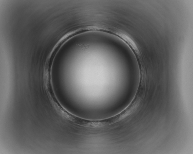 X0000113211000200909101128