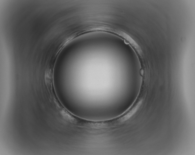 X0000113211001200909101128