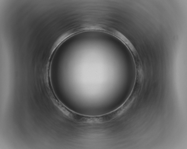 X0000113211002200909101128