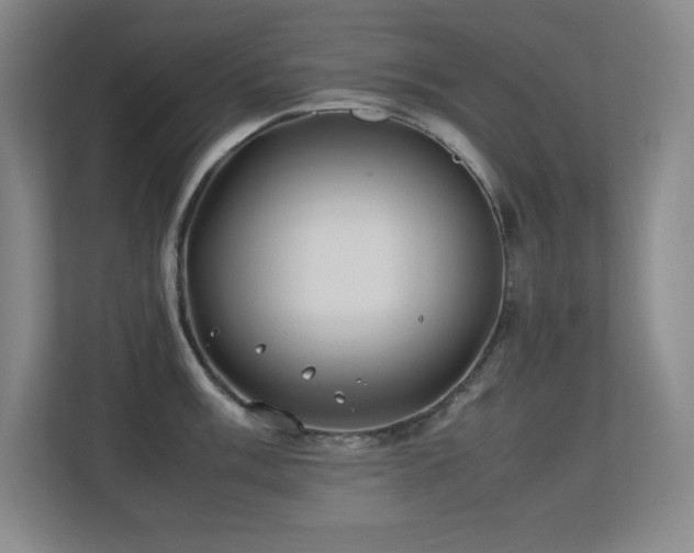 X0000113211003200909101128