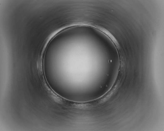 X0000113211004200909101128