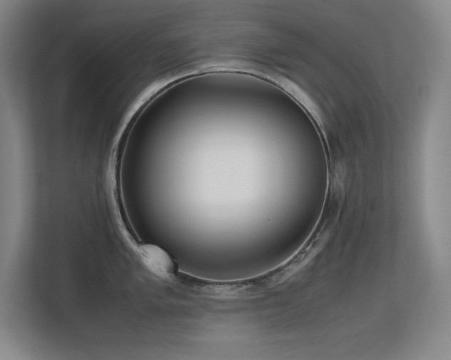 X0000113211005200909101128