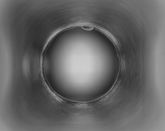 X0000113211006200909101128